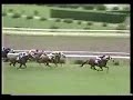 競馬の神動画 競馬必勝法↓http://utun.jp/gZG/