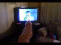 Assistir ao v�deo