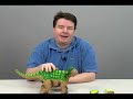 Pleo: Robot, pet or both?