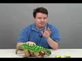 Pleo: Robot, pet or both? Pleo: Robot, pet or both?
