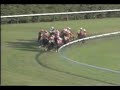 1996年 バブルガムフェロー - 天皇賞(秋)