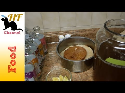 how to make kombucha