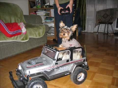 terrior