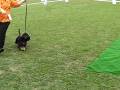 videos de ?????????????? 20-21092008 145