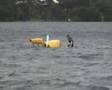 Weta Capsize Recovery
