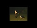 Fluch der Karibik Dogdancing