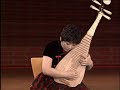 chinese pipa