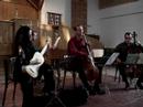 Les Basses Reunis 9# Barriere Andante