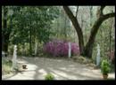 Afton Villa Gardens, St. Francisville, Louisiana