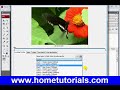 Flash Lesson 25 Audio Editing Video Encoding