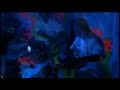 Amoeba Starfish - TOTGA 6 Buy My Dreams (iii)