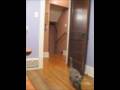 videos de Petunia Fetching