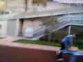 videos de paolino che vola