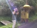 Click here to watch this video Wongaya Gede in Bali´s Most Remote Jungle - Prana Devi Resort and the Village