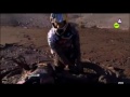 Dakar: la falta de solidaridad de un piloto