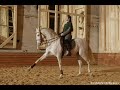 Dressage
