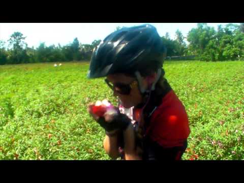 SpiceRoads Bali Mountain Biking Adventure