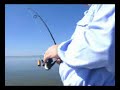 Black Drum Fishing