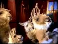 Crazy Talking Singing Llamas