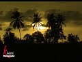 Koleksi Lagu-Lagu Samah - Angan-Angan