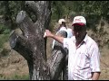 Hüseyin ALTA? Gav nedir anlat?yor.-www.kirazli.org Hüseyin ALTA? Gav nedir anlat?yor.-www.kirazli.org