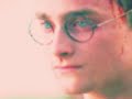 harry and ginny