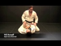Armbar From Mount
