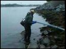 Cape Cod Canal Lobster Fishing