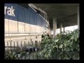 Surfliners Stopping in Old Town