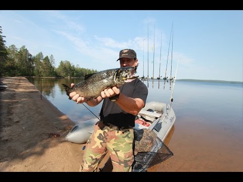 как троллинг водохранилище как троллинг водохранилище