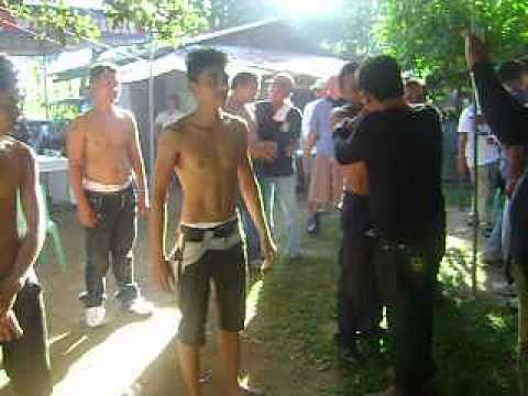 Unified Lawin the Great Guardians (Marking ) Part 2