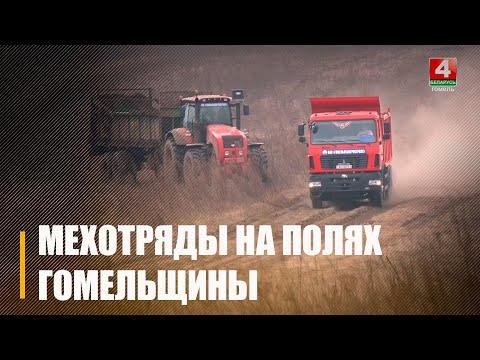 Работает сельхоздесант! 5 мехотрядов, созданных в соответствии с постановлением Совмина, вышли на поля на Гомельщине видео