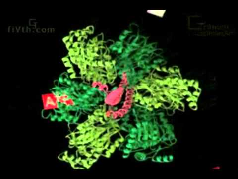 ASCB Celldance Video – ATP Synthase