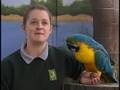 YouTube - Training Zoo Animals