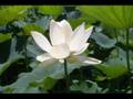 Ananda Giri chant  2