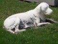 famous dog statues of the western world