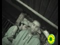 obstinado   samba da vida pantinhagem brasileira