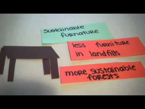 how to reduce your ecological footprint