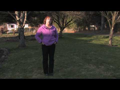 how to care centipede grass