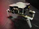 Quadruped walker robot