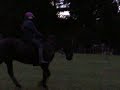 Gabi - bareback