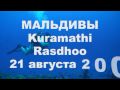 Для Михаила: дайвинг на Курамати
