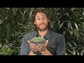 David de Rothschild’s frog message