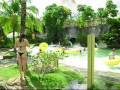 videos de goias