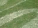 football-us.html