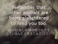 ????????anti anti-whaling