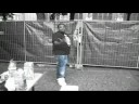 djvt-hollereer-album-versie.html