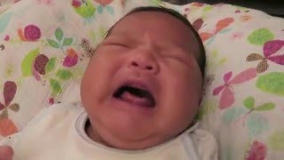 Dunstan Baby Language Theory Experiment