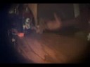 asdf