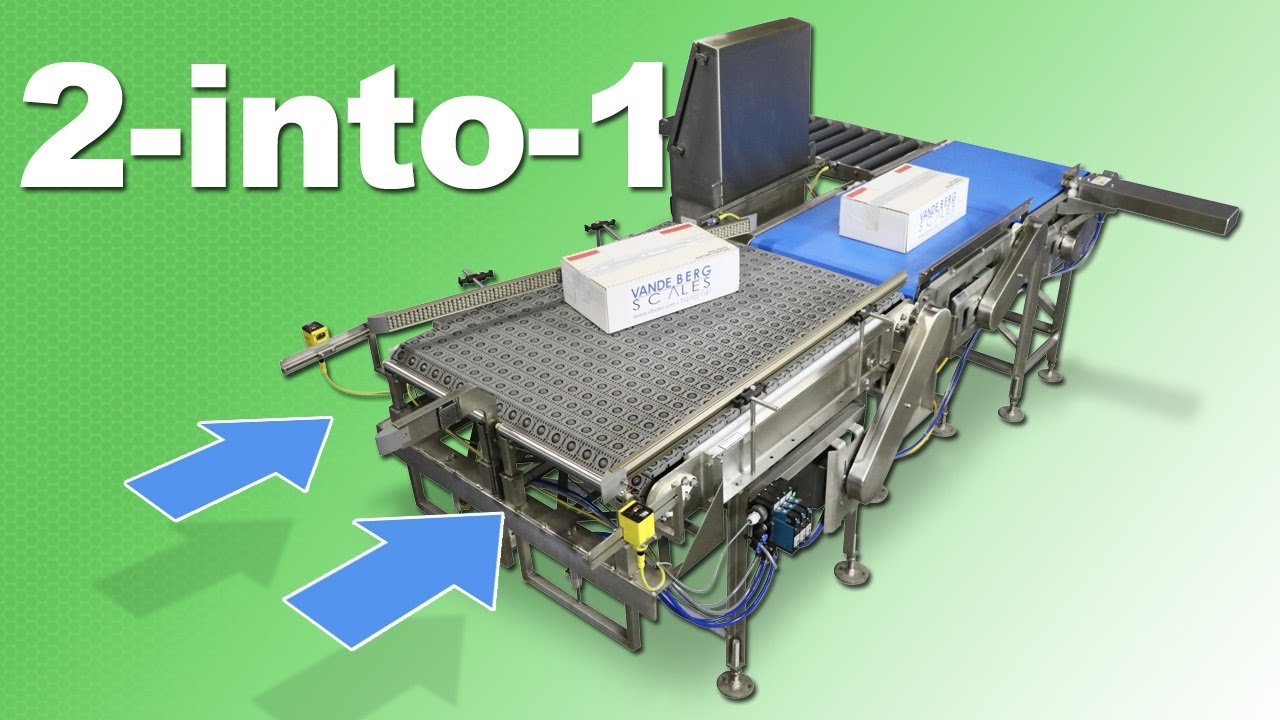 Two Lane Indexing & Weighing Conveyor System